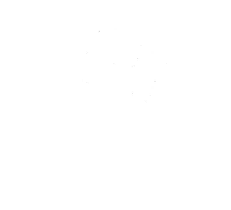 Jana Stamm